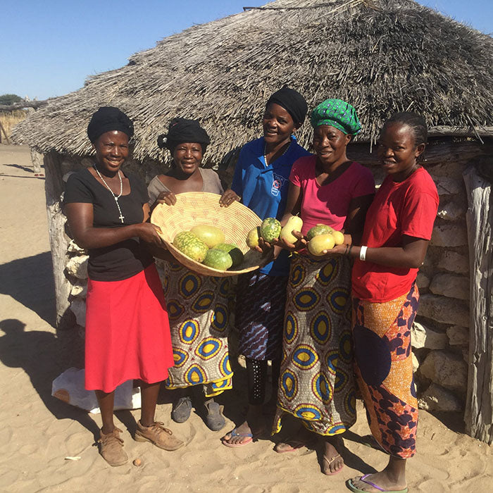 Kalahari Melonen aus Namibia